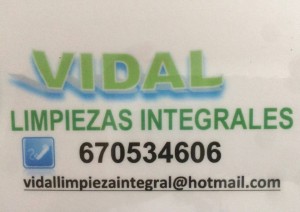 Vidal – Limpiezas integrales